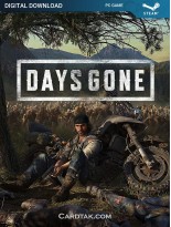 Days Gone (Steam)