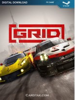 GRID 2019 (Steam)