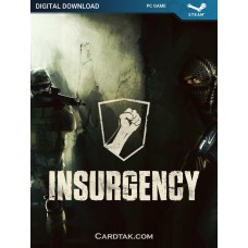 Insurgency (Steam)