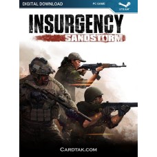 Insurgency Sandstorm (Steam)