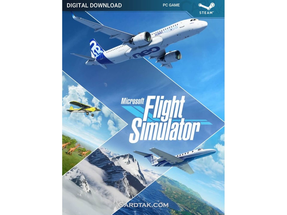 Microsoft Flight Simulator (Steam)