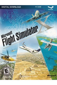 Microsoft Flight Simulator X (Steam)