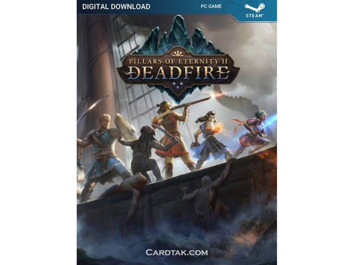 Pillars of Eternity 2 Deadfire (Steam)
