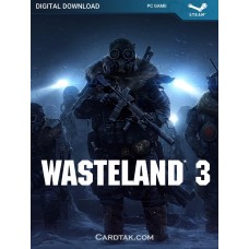 Wasteland 3 (Steam)